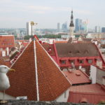 Tallinn (EST) – Über den Dächern der Altstadt