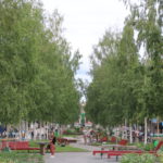 Umeå (S) – Die Birkenallee