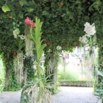 Cheverny (F) – Im Schlossgarten